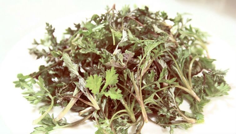 Wormwood ó Parasites